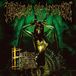 Snapper Consignment Cradle of Filth Eleven Burial Masses