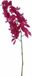 Mica Decorations Kunstbloem Orchidee tak - diep roze - 71 cm