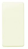 Elektrische Legrand Stylo 2101 BM Schakelaar IVORY STYLO