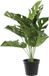 Item International Items Kunstplant Monstera plant in bloempot - Groen - 42 x 51 cm - Kamerplanten