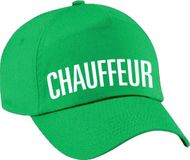 Bellatio Decorations Verkleed pet voor volwassenen - chauffeur - groen
