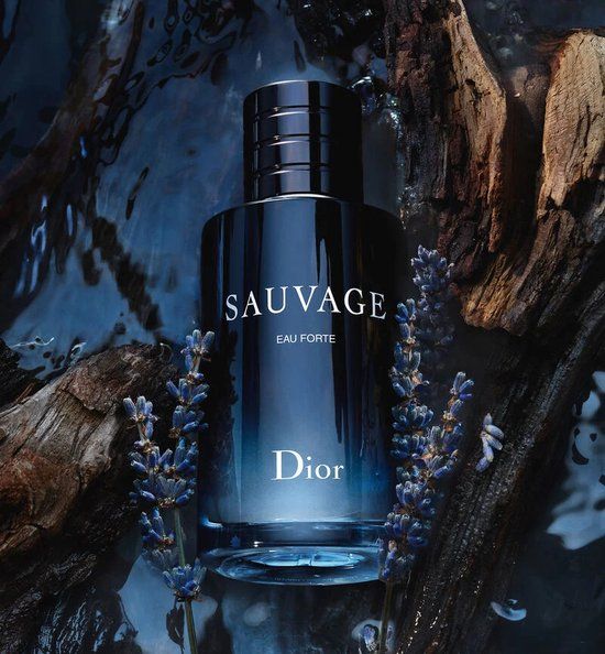 Dior Eau de Parfum / 60 ml / Mannen