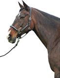 HKM Diamond Leren Halster Zwart Cob