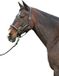 HKM Diamond Leren Halster Zwart Cob