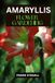 AMARYLLIS FLOWER GARDENING: STEP BY STEP BEGINNERS GUIDE TO GROWING, CARING AND HARVESTING