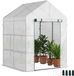 Outsunny Serre met oprolbare deur en planken - Wit