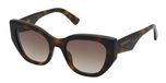 Nina Ricci SNR398 Avana Scura Lucida 54/21/140 Vrouwen Zonnebrillen