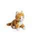 Mollis Knuffeldier, knuffelkat, 20 cm, pluche dier, kat, kinderknuffeldier, zacht knuffeldier voor kinderen en baby's, oranje