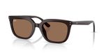 Ray-Ban RB4439D 623173 54 Modieuze zonnebril