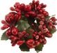 Villeroy & Boch Winter Collage Accessoires Servetring rode bessen en plastique d: 6 cm