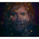 Cavalier Eddi Reader Cavalier
