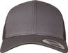 Flexfit Retro Trucker darkgrey one size Trucker pet