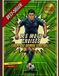 Les Libri GmbH Les mots croisés: SPECIAL coupe du monde de football ( Niveau : Expert ) Paperback