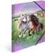 HERMA A4 mappen Paardenwereld Set, 3-delig