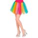 Widmann - Vliegen Naar De Regenboog Tutu 40 Centimeter Vrouw - Multicolor