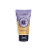 L'Occitane Shea Lavender Hands & Body Liquid Soap 50 ml