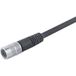 binder 79 1426 15 08-20 Ronde connector afgewerkt Bus, recht Totaal aantal polen: 8 Serie (ronde connectoren): 702 1 stuk(s)