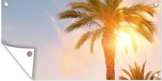 GreatGardenPosters Tuinschilderij - Palmboom - Zon - Zomer - Tuinposter - 80x40 cm - PVC - Kunststof - Rechthoek - Multicolor