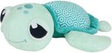 JEMINI Ma Petite Carapace Tortue phosphorescente naturelle +/- 25 cm