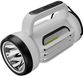 Holland Connections Lampe d'extérieur LED rechargeable avec puce COB, lampe d'extérieur LED portable, adaptée aux activités de plein air, à la randonnée et aux voyages. Poisson japonais