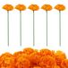 30 Pièces de Soucis Artificiels avec Tige pour Décorations