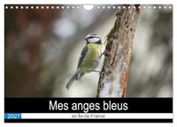 Mes Calvendo Mes anges bleus en Île-de-France (Calendrier mural 2027 DIN A4 vertical), CALVENDO calendrier mensuel