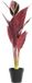 DKD Home Decor Decoratieve plant Roze Groen PE (25 x 25 x 67 cm)