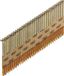Senco Stripspijker 2,8x65mm verzinkt - 2000 stuks