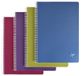 Clairefontaine 329116C Collectie Linicolor Intensive Pak met 5 Spiraalschriften