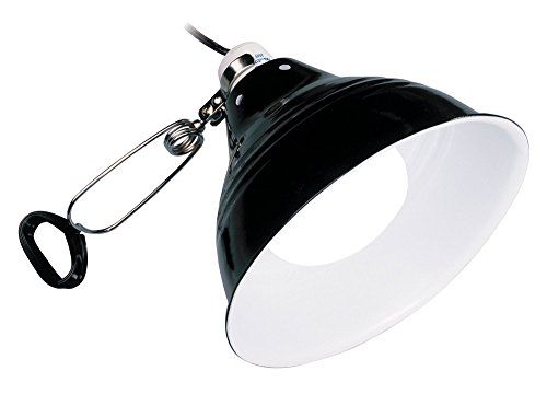 Askoll 281581 Exo Terra plafondlamp voor terrarium, maat M