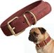 Peluvio Rexor Leren Hondenhalsband Bruin S