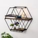 Moderne Asir Wandplank Zwart en donker walnoot 44 x 15 x 40 cm