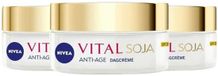 NIVEA Vital Soja Dagcrème Anti-Age SPF 15 - 3 x 50 ml - Voordeelverpakking
