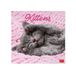 LEGAMI Katten - Kittens Wandkalender 2027
