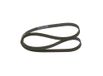 BOSCH 1 987 946 102 tandriem