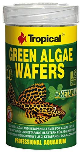 Tropical Green Algae Wafers Welschips - 250 ml