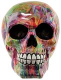 Puckator Regenboog schedel woonaccessoire