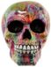 Puckator Regenboog schedel woonaccessoire