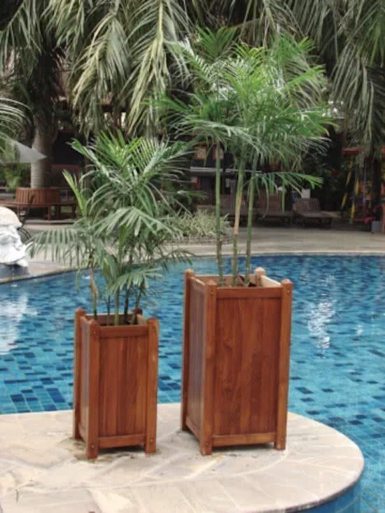 Tuindeco Sumatra - 8715815004359