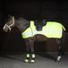 Harry's Horse Uitrijdeken Reflective - Paardendeken - Geel - M