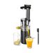 KASANOVA Slow Juicer voor groenten en fruit, professionele sapcentrifuge, koudepers-sapcentrifuge, 80 W Slim