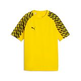 PUMA Teamliga Jersey Junior uniseks-volwassene Shirt
