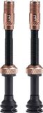 BBB Cycling CoreCap AL Valve - Tubeless Ventielset - 60mm - Koper