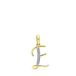 Lucardi Dames alfabet hanger met diamant (0,03ct) - Hanger - Cadeau - 14 Karaat Goud - Geelgoud