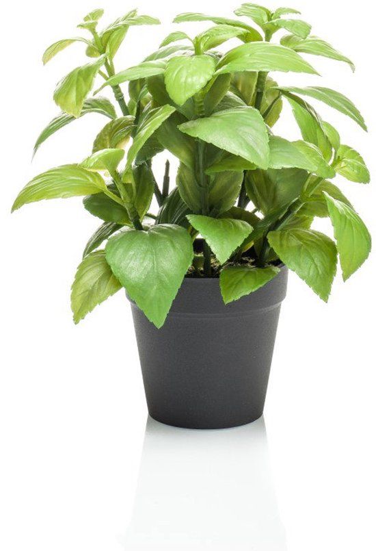 Emerald Basil in black pot 23 cm kunstplant
