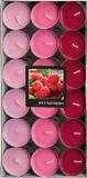 Conpax Candles Wild Raspberry Geur bougies chauffe-plat - Mega pack - 36x - 4,5 heures de combustion