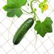 Relaxdays klimnet planten - jute - klimplanten - 2x3 m - plantennet