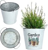 KADAX Metalen bloempot, retrostijl, bloempot voor orchideeën, kruiden, geraniums, bloembak, diameter 14 cm, met handgrepen
