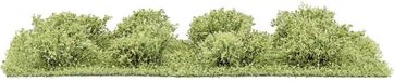 Busch-Jaeger Busch 3601 Heester Lente