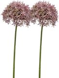 Emerald Allium/Sierui kunstbloem - 2x - losse steel - lila - 62 cm - Natuurlijke uitstraling